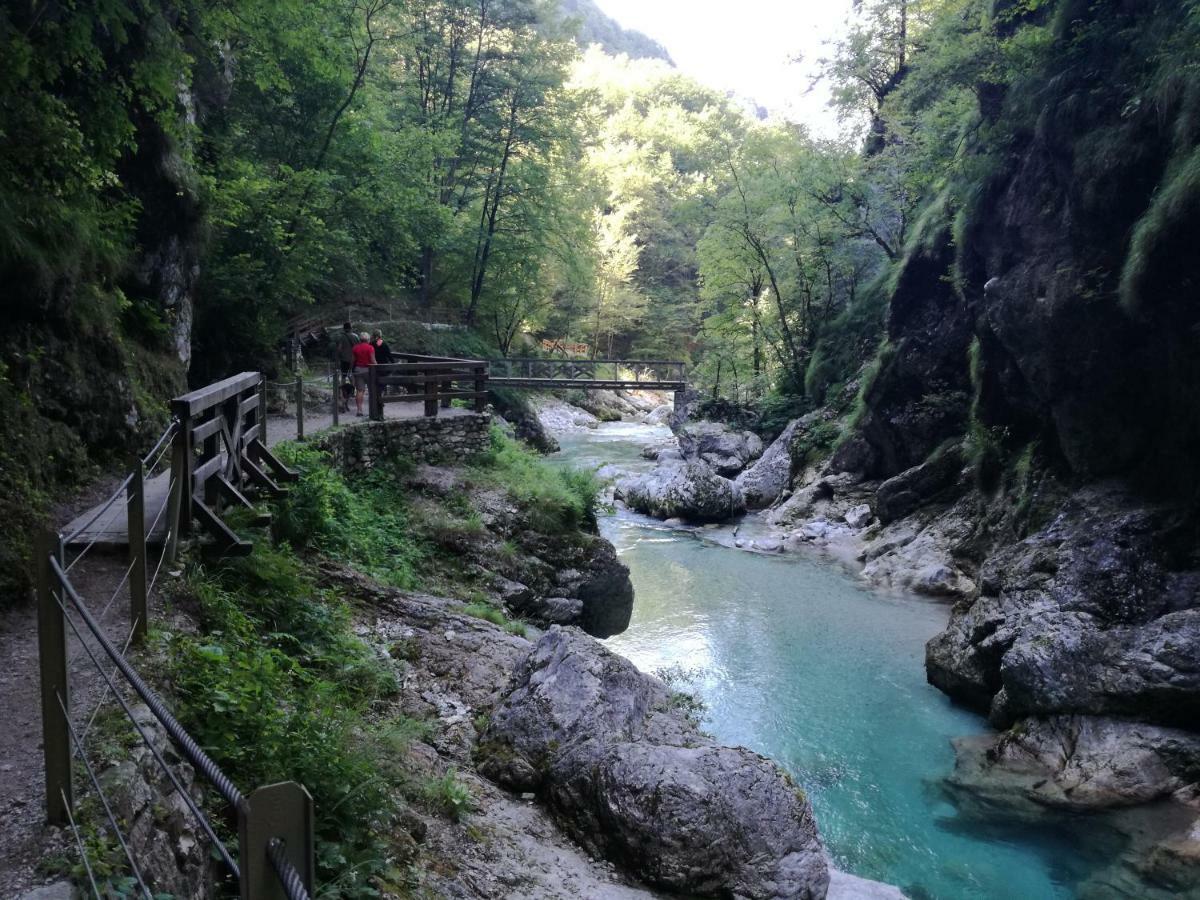 Apartma Mika Most na Soči Dış mekan fotoğraf